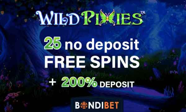 Power spins casino no deposit bonus